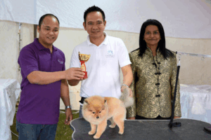 800-Groom Pets in the City Mobile Grooming
