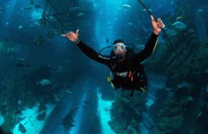 Al Boom Diving