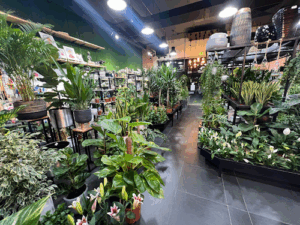 Al Madina Garden LLC