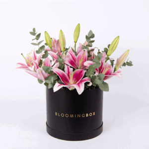 Bloomingbox