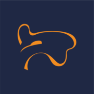 Blue Camel Design LLC