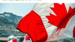 Canopee Immigration Services