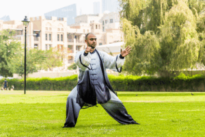 Dalong Tai Chi Flow