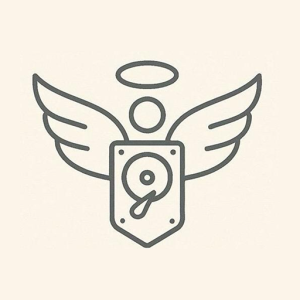 Data Recovery Angel