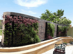 Dreams Garden Trading LLC