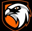 Eagle Eye Security Services