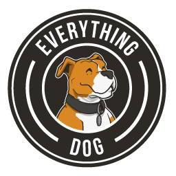 Everything Dog