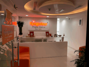 Flying Colour Immigration Services