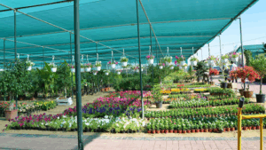 Green Glades Plant Nursery