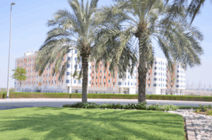 Ksk Homes
