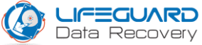 Lifeguard Data Recovery Services