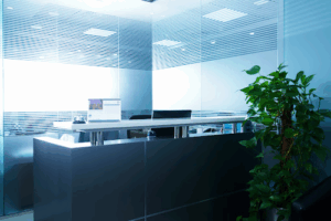 Msi Auditors