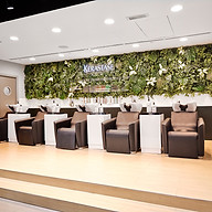 Nicolas Salon