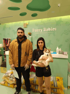 Pet Shop Furry Babies Dogs & Puppies For Sale In Dubai