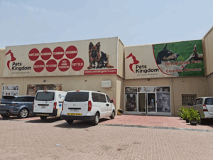 Pets Kingdom LLC