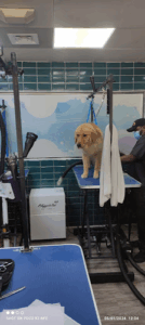 Petzone