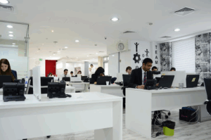 Range International Property Investment