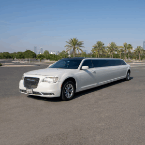 Skye Vip Limo & Car Rental