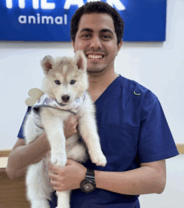 The Ark Animal Clinic