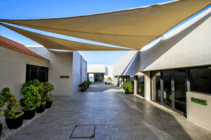 The Developing Child Centre