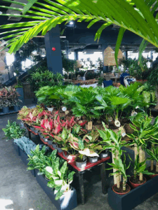 The Garden Concept