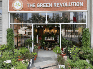 The Green Revolution