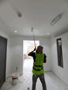 Ultron Painting Services